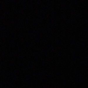 Meet your Posher, Sasha